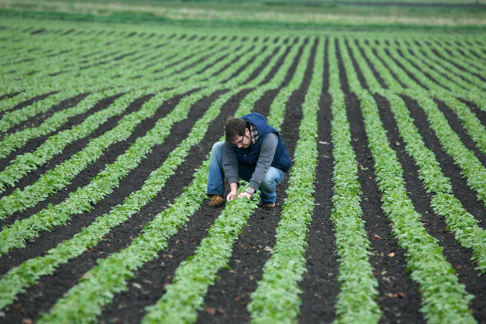 Cambridgeshire ACRE Rural economy and employment