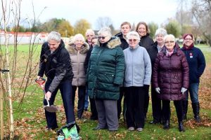 Steve Barclay MP and parish councillors at Wimblington planting their Jubilee tree